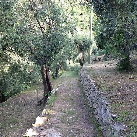 Casa Del Frate Vila